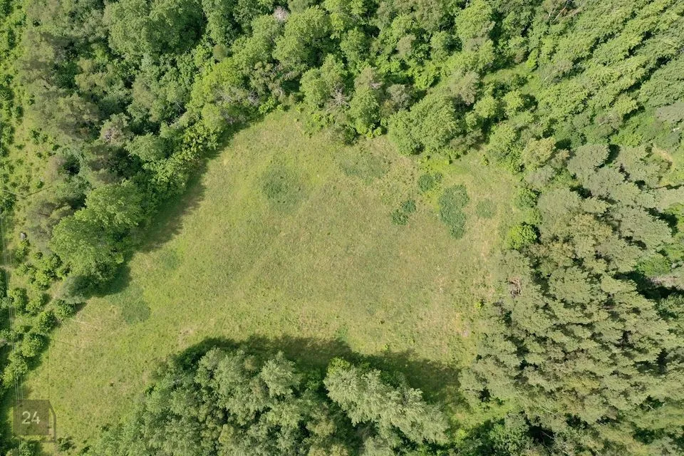 Maatulundusmaa, 89800 m² Maa - Saaremaa vald, Kõiguste küla - foto 5