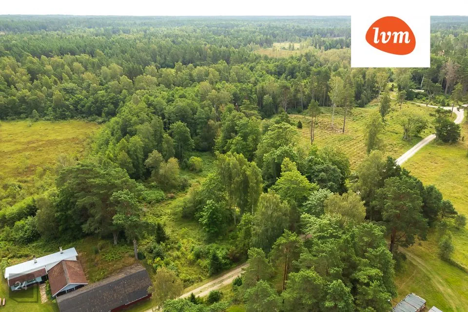 Elamumaa, 6557 m² Maa  -  Saaremaa vald, Torgu-Mõisaküla - foto 4