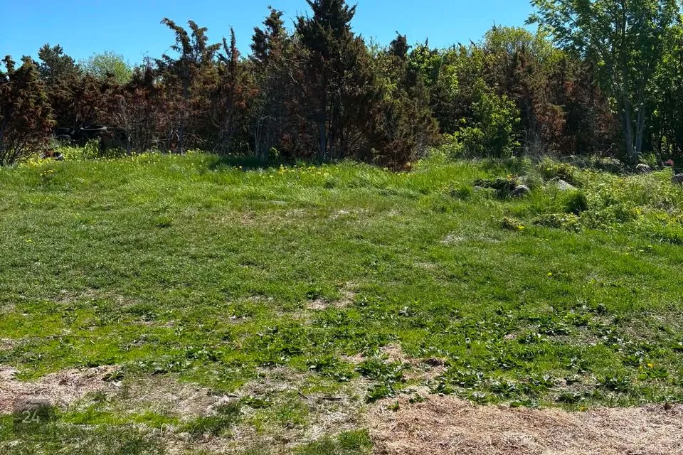 Elamumaa, 43158 m² Maa  -  Hiiumaa vald, Mudaste küla - foto 5