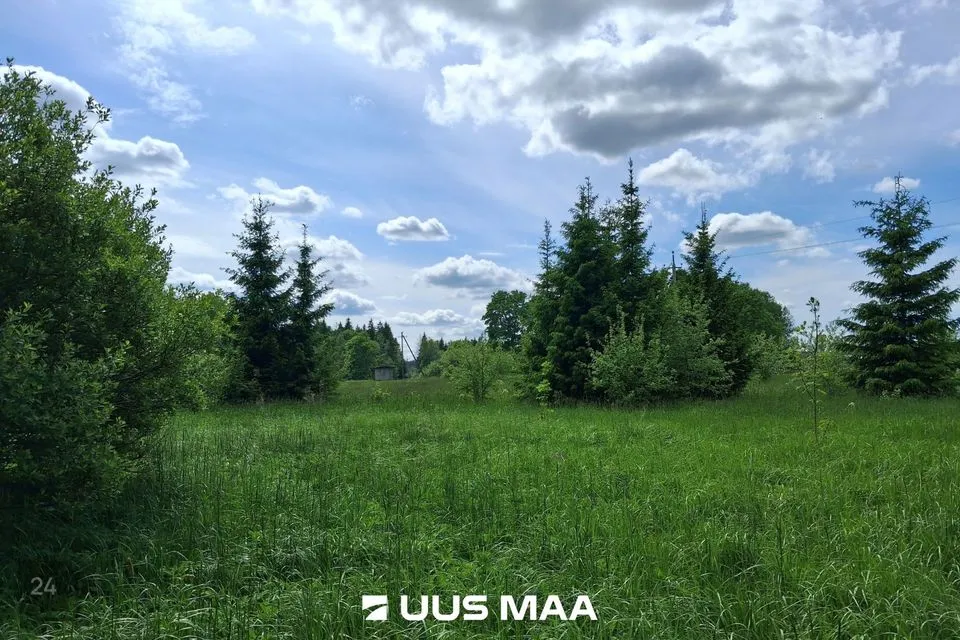 Maatulundusmaa, 14835 m² участок в Saue vald, Ruila küla - фото 3