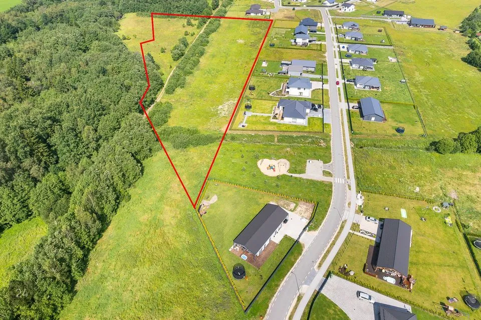 Maatulundusmaa, 23343 m² Maa  -  Saue vald, Alliku küla - foto 2
