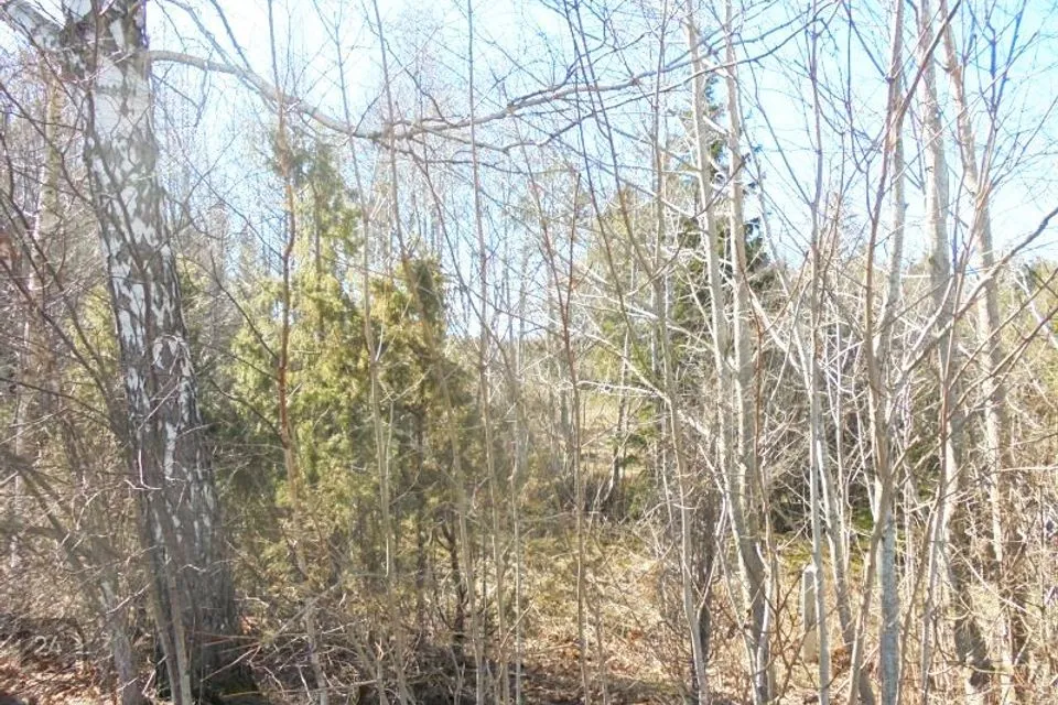 Elamumaa, 20020 m² Maa - Hiiumaa vald, Suuresadama küla - foto 3