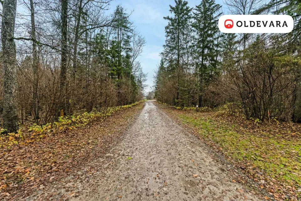 Elamumaa, 2389 m² Maa - Põhja-Pärnumaa vald, Libatse küla - foto 3