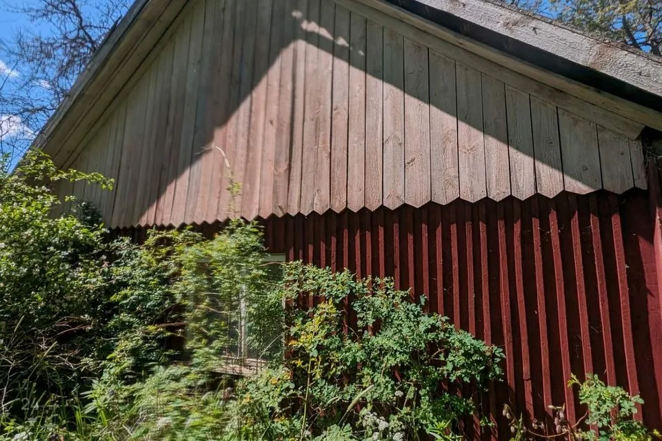 100000 m² Maa  -  Valga vald, Hargla küla - foto 3