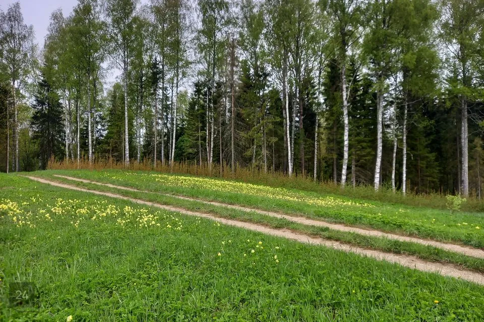Maatulundusmaa, 34696 m² Maa - Otepää vald, Pühajärve küla - foto 3