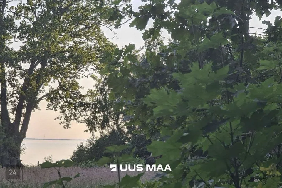 Elamumaa, 9526 m² Maa  -  Kuusalu vald, Pedaspea küla - foto 4