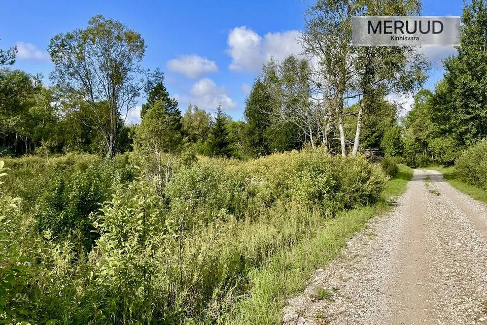 Elamumaa, 16022 m² Maa  -  Saaremaa vald, Linnuse küla