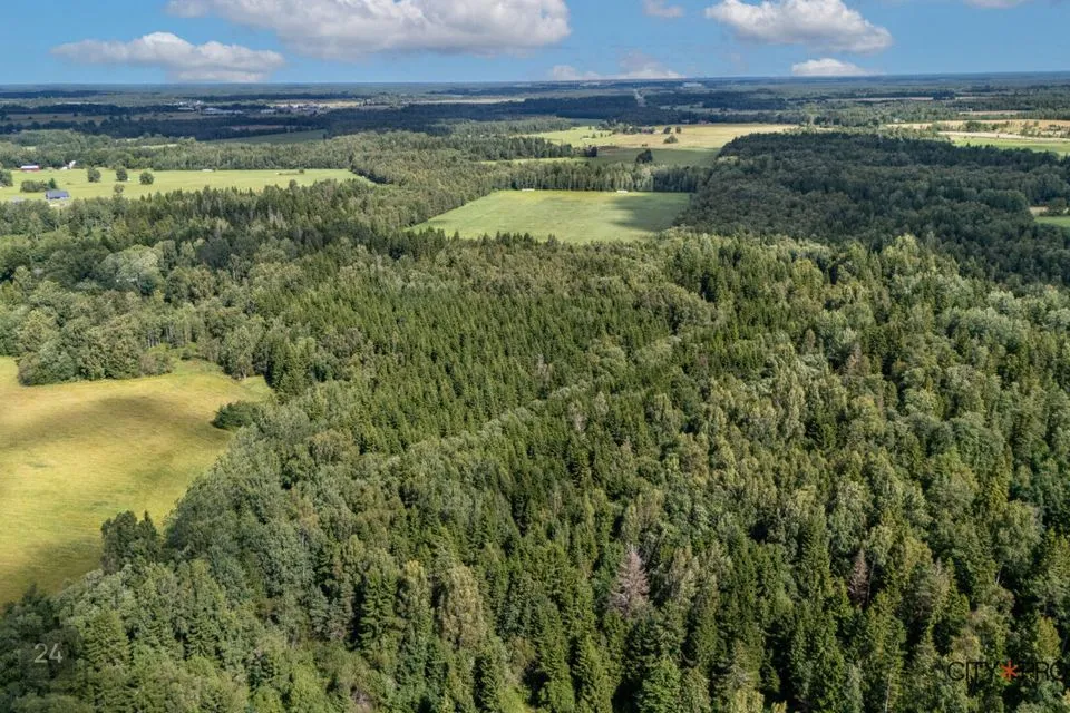 Maatulundusmaa, 16735 m² Maa - Lääne-Harju vald, Nahkjala küla - foto 2