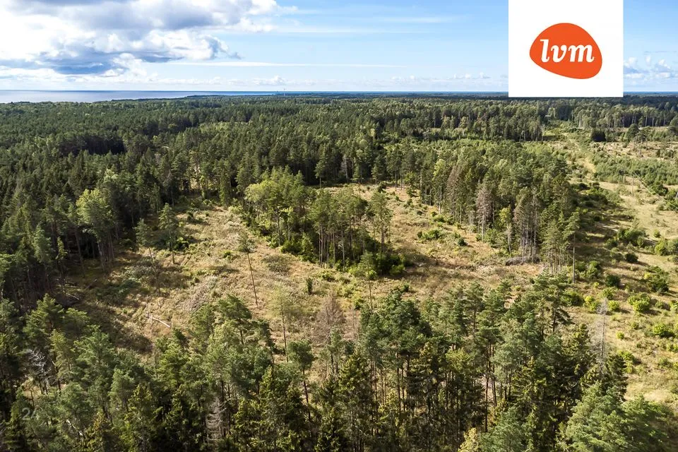 Maatulundusmaa, 16189 m² Maa  -  Saaremaa vald, Mäebe - foto 3