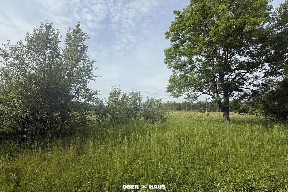 9994 m² Maa - Alutaguse vald, Jaama küla - foto 4