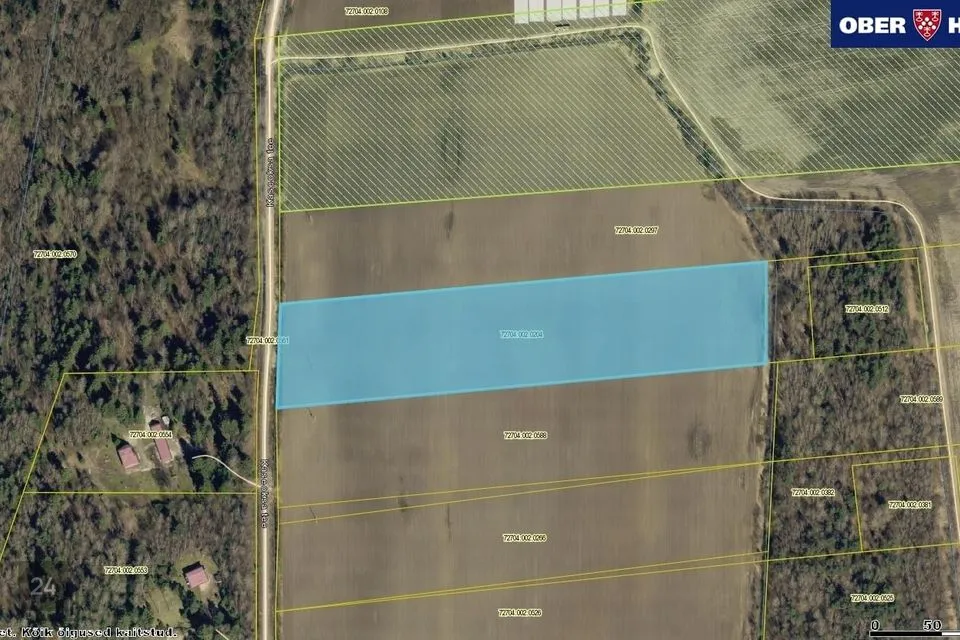 24900 m² Maa - Saue vald, Ääsmäe küla