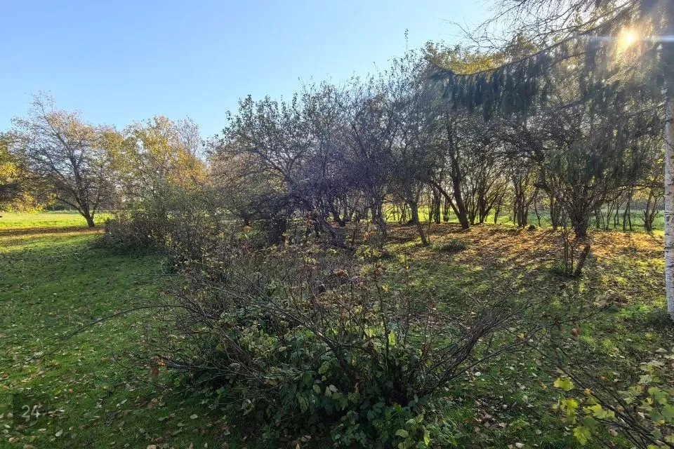 Maatulundusmaa, 96200 m² Maa  -  Valga vald, Paju küla - foto 3