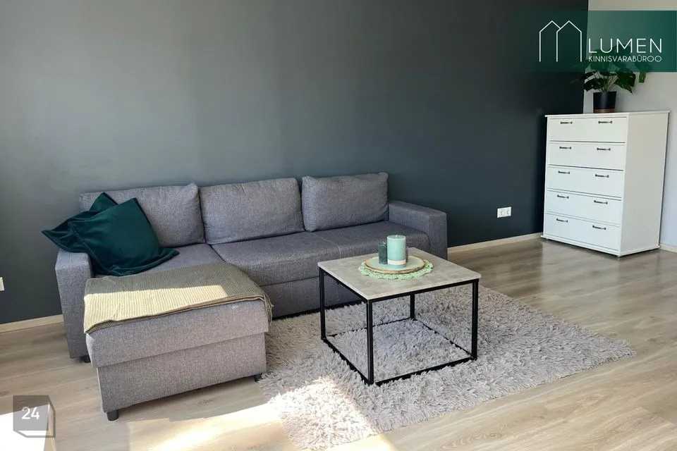 1-toaline Korter  -  Võru linn - foto 4