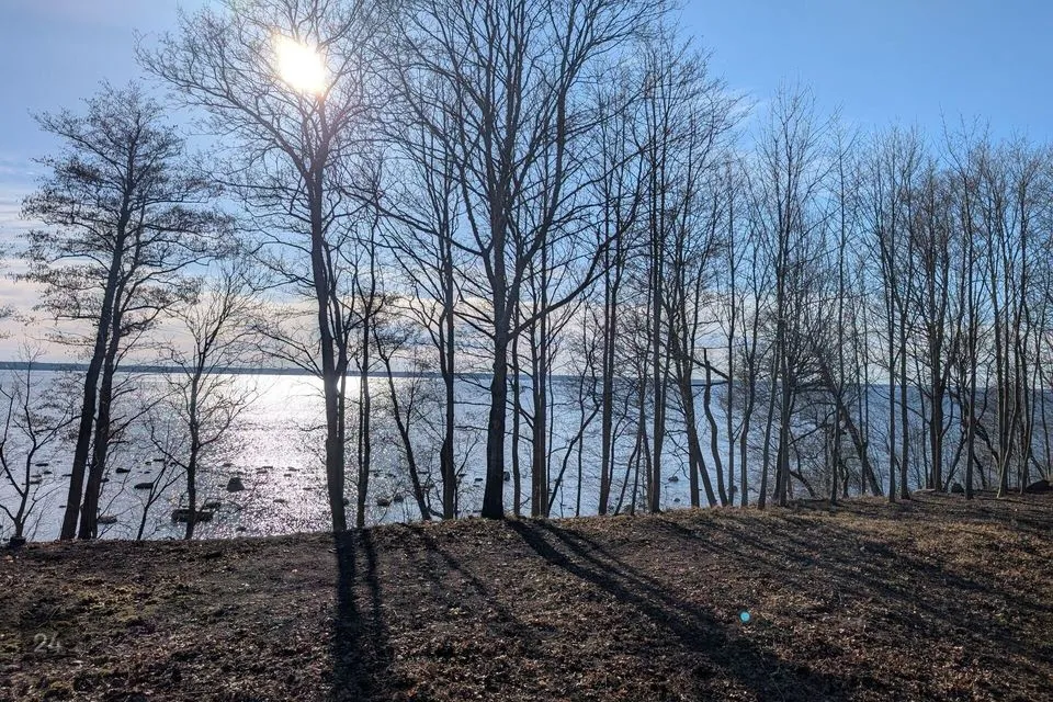 Elamumaa, 4983 m² Maa  -  Kuusalu vald, Suurpea küla - foto 5