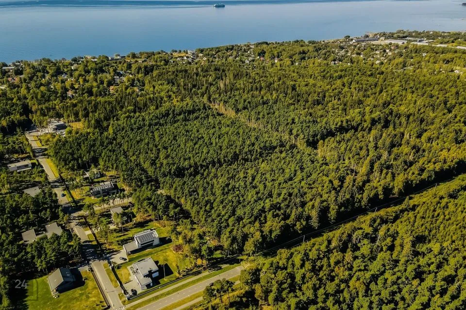Elamumaa, 3301 m² Maa - Viimsi vald, Pringi küla - foto 2