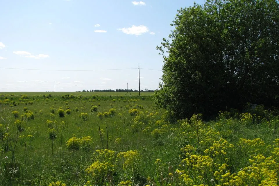 Elamumaa, 2146 m² Maa  -  Järva vald, Roosna küla - foto 2