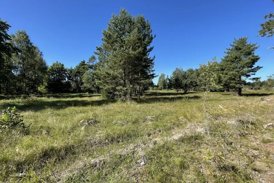 Maatulundusmaa, 34100 m² Maa - Saaremaa vald, Torgu-Mõisaküla - foto 4