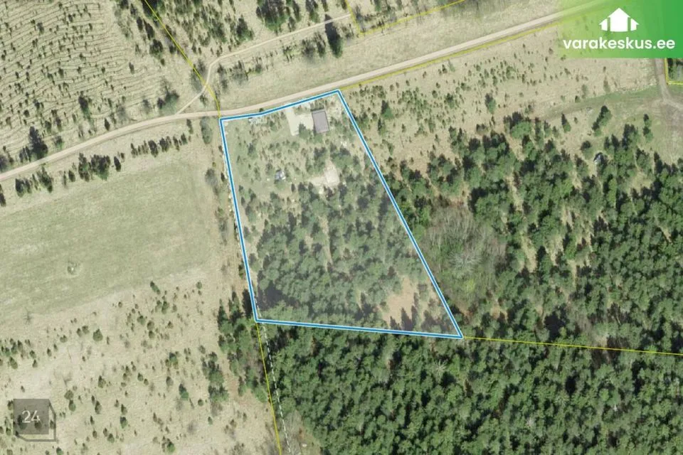 Maatulundusmaa, 7717 m² Maa  -  Lääne-Nigula vald, Seljaküla - foto 5