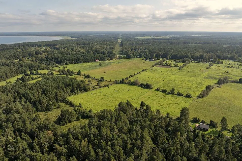 Maatulundusmaa, 12766 m² Maa  -  Saaremaa vald, Meiuste küla - foto 4