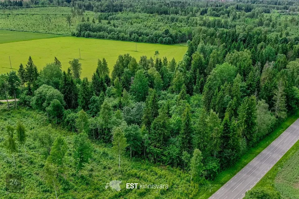 Maatulundusmaa, 9112 m² Maa - Kehtna vald, Pae küla - foto 3
