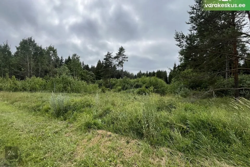 Maatulundusmaa, 54042 m² Maa - Saku vald, Tänassilma küla - foto 4
