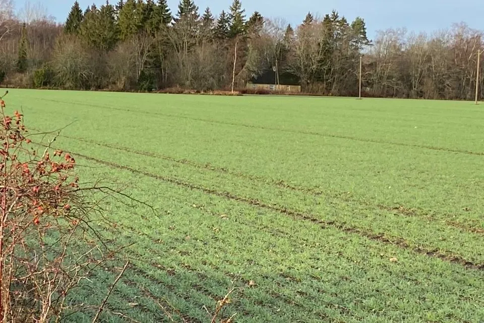 3-toaline Maja  -  Lääneranna vald, Kõmsi küla