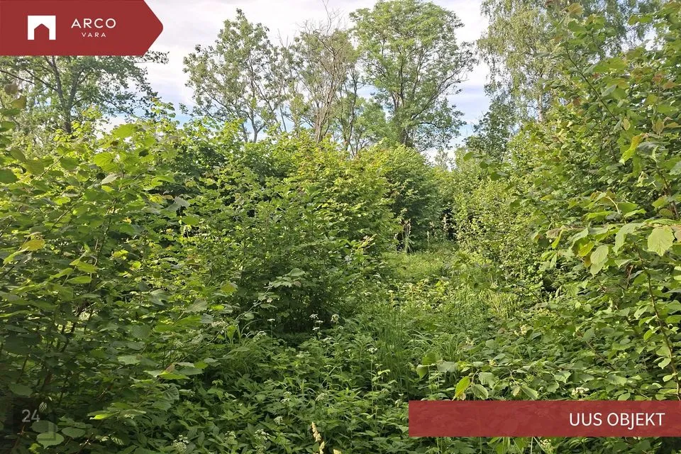Maatulundusmaa, 28997 m² Maa  -  Muhu vald, Lehtmetsa küla - foto 4