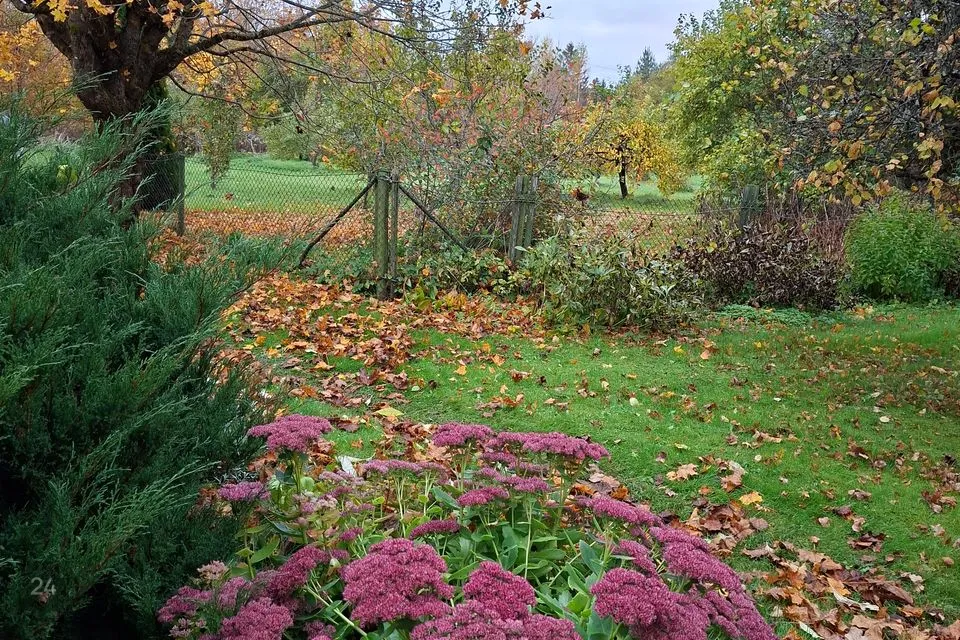 3-toaline Maja  -  Lääne-Harju vald, Niitvälja küla - foto 2