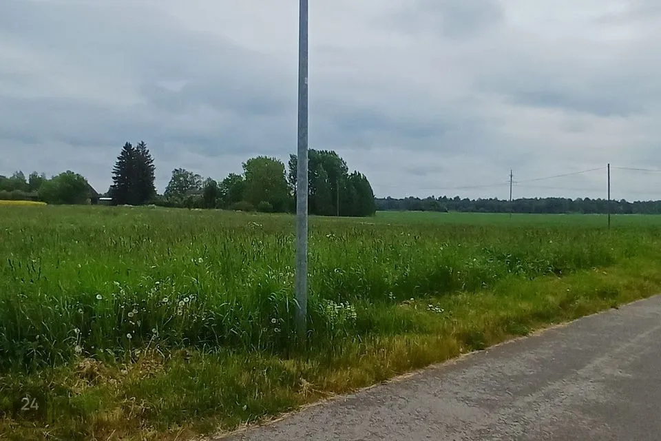 Elamumaa, 4219 m² Maa - Jõelähtme vald, Parasmäe küla - foto 3