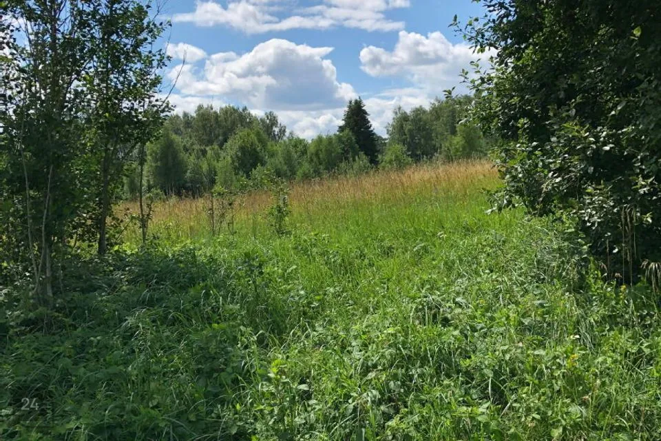 Maatulundusmaa, 29300 m² Maa - Märjamaa vald, Lestima küla - foto 3