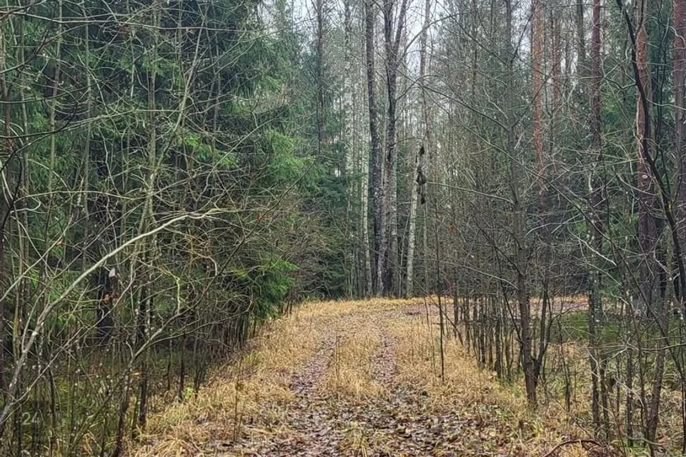 Elamumaa, 11015 m² Maa - Pärnu linn, Paikuse alev - foto 3