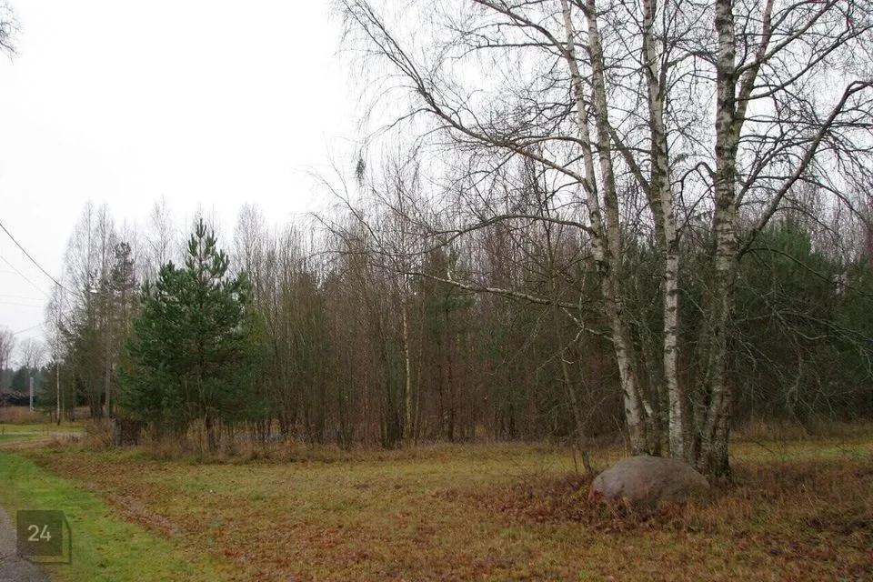 Земля жилой застройки, 1385 m² участок в Türi vald, Türi linn - фото 5