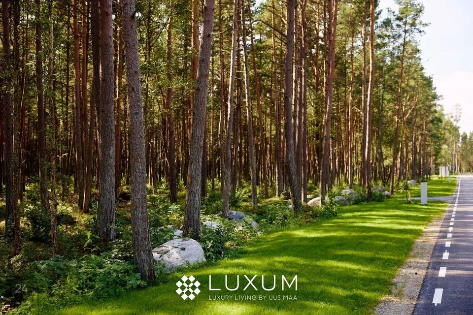 Elamumaa, 3336 m² Maa - Viimsi vald, Pringi küla - foto 4