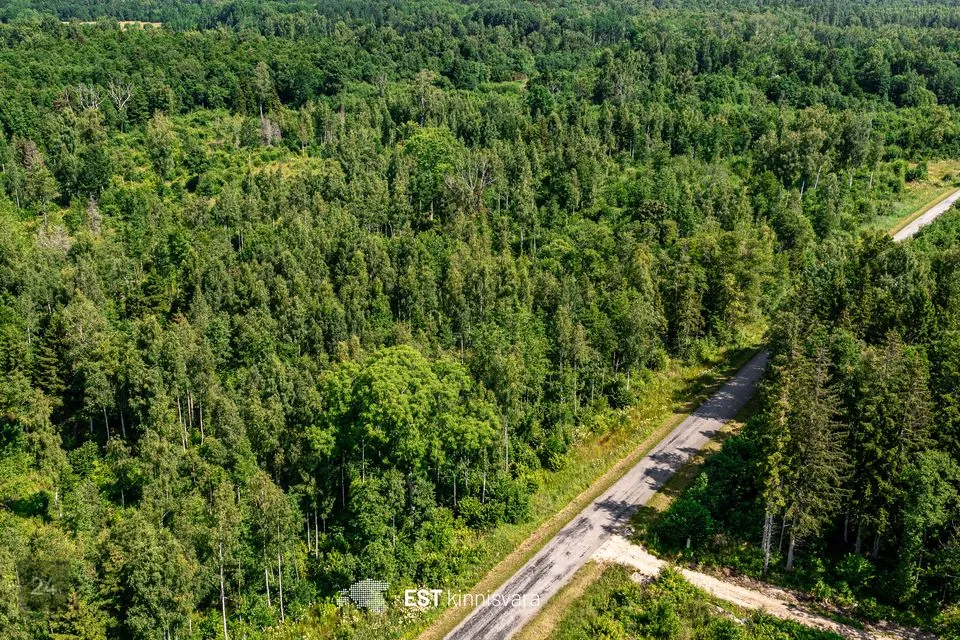 Maatulundusmaa, 10009 m² участок в Lääneranna vald, Rädi küla