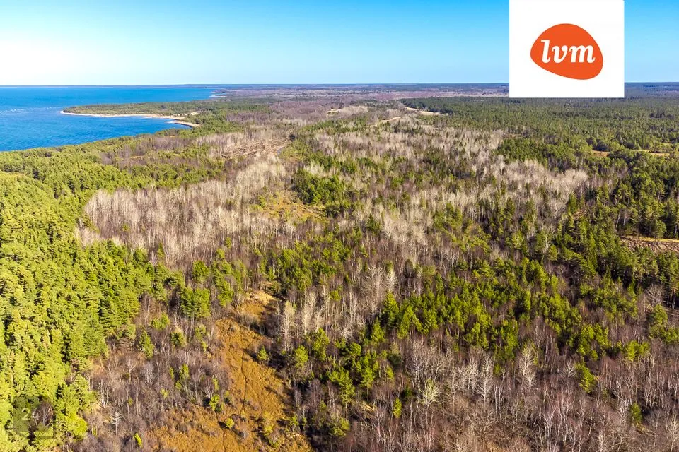 Maatulundusmaa участок в Saaremaa vald, Panga küla - фото 4