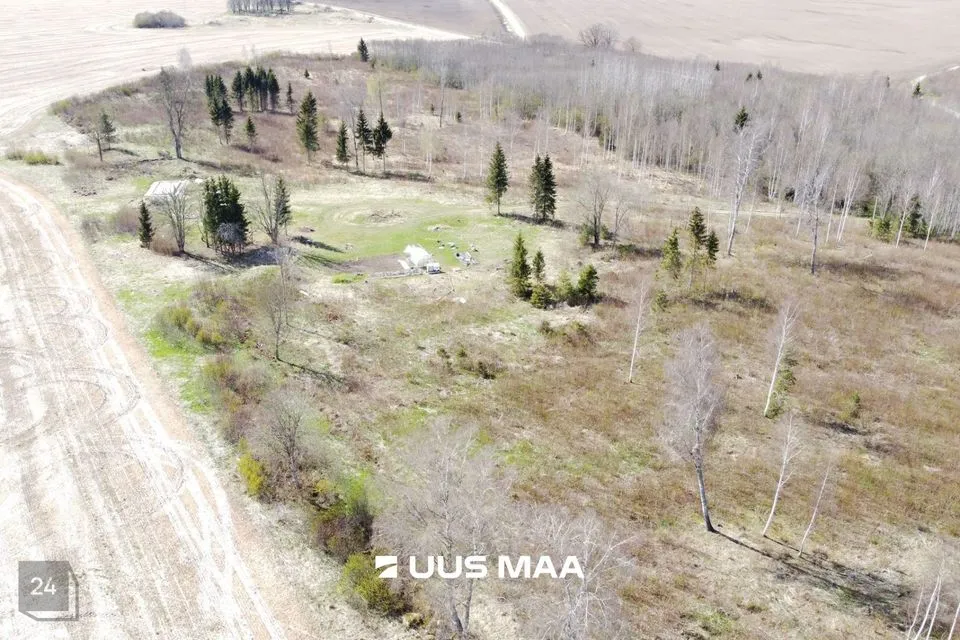 Maatulundusmaa, 63050 m² Maa  -  Järva vald, Ervita küla - foto 2