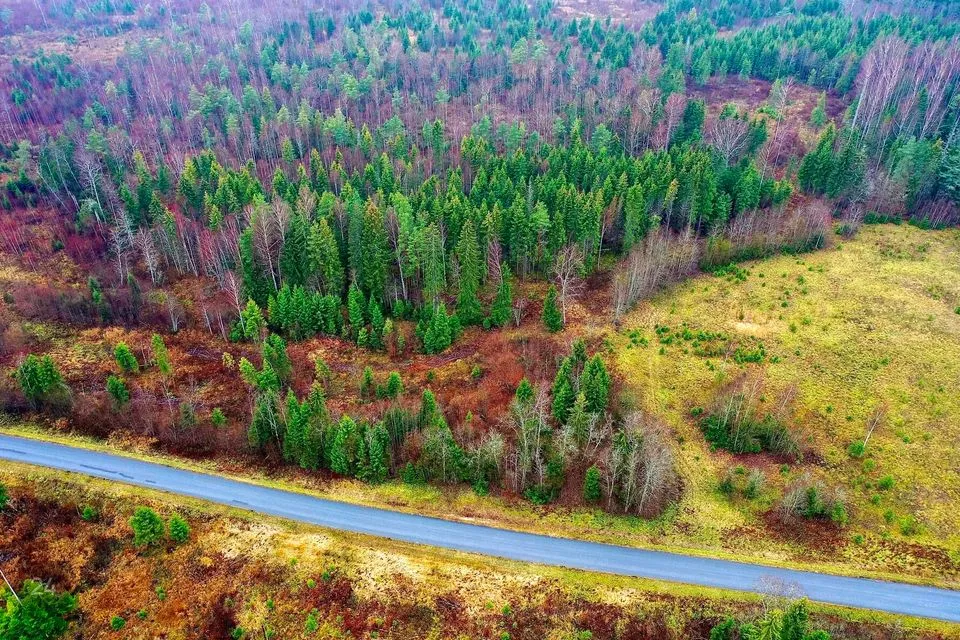 Maatulundusmaa, 21511 m² Maa - Anija vald, Voose küla