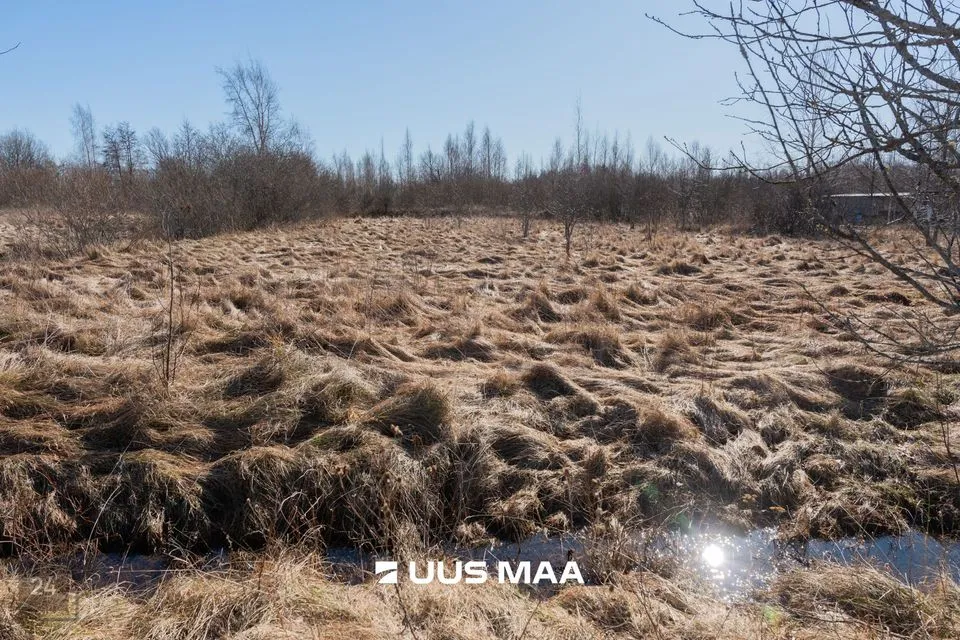 Земля жилой застройки, 3579 m² участок в Pärnu linn, Peerni küla - фото 4
