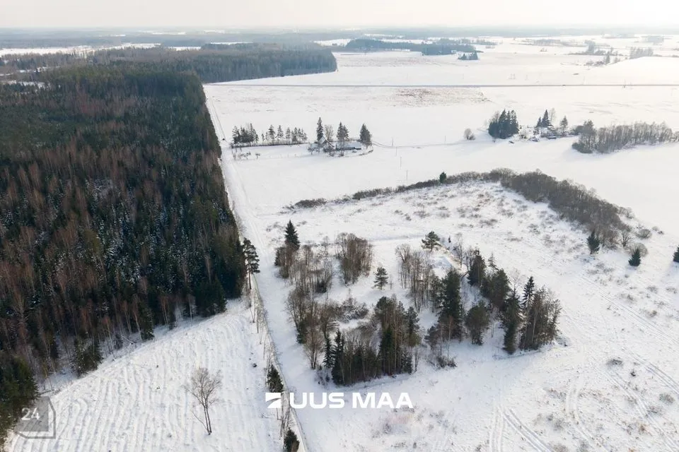 Земля производственного назначения, 10238 m² участок в Peipsiääre vald, Vara küla - фото 4