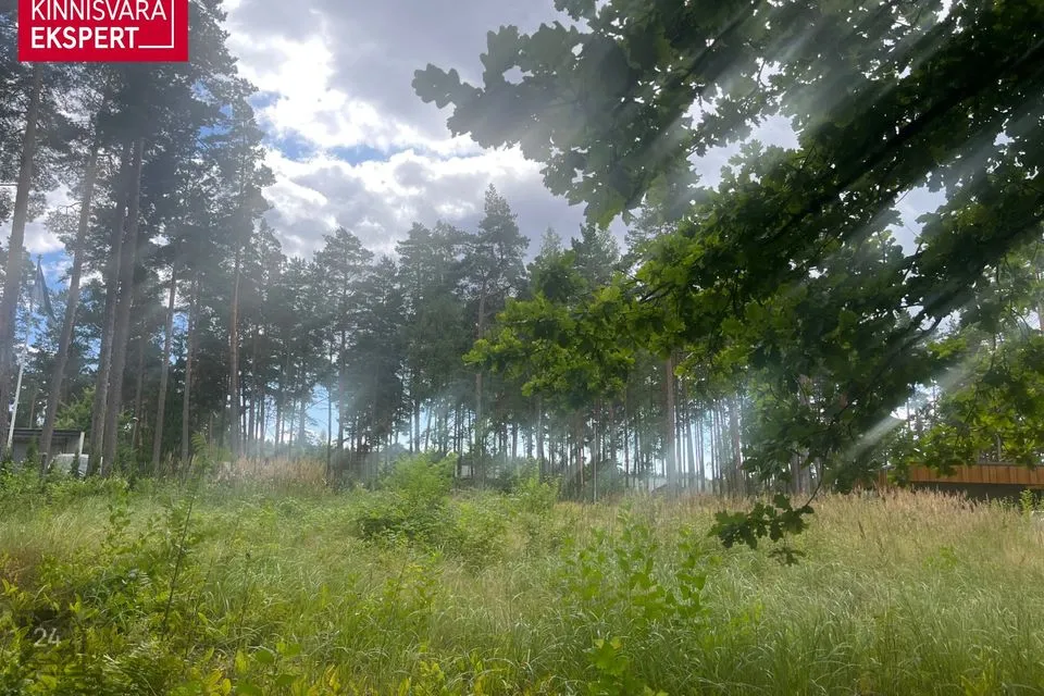 Residential land, 2007 m² land in Pärnu linn, Papsaare küla - photo 5