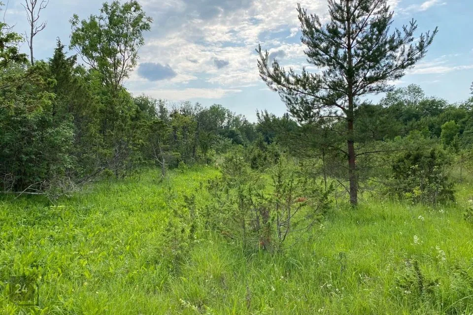 Maatulundusmaa, 10071 m² участок в Haapsalu linn, Laheva küla - фото 2
