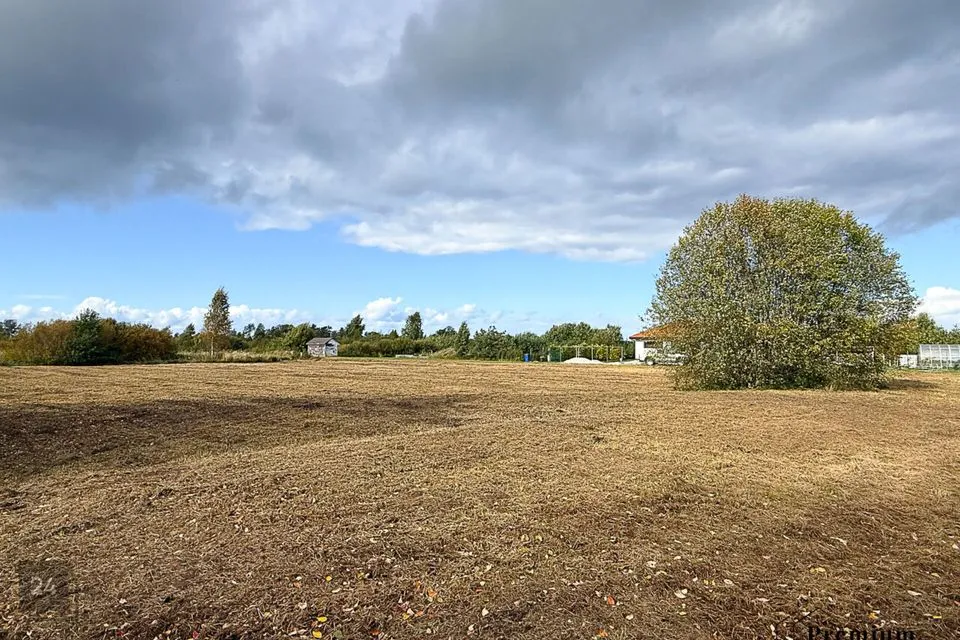 Elamumaa, 4609 m² Maa  -  Lüganuse vald, Moldova küla - foto 3