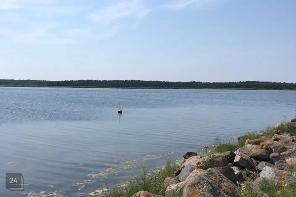 Maatulundusmaa, 52300 m² участок в Vormsi vald, Borrby küla - фото 4