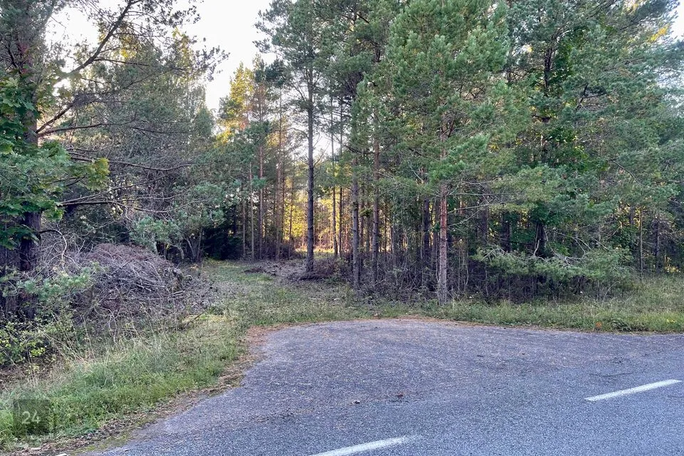 Maatulundusmaa, 67475 m² Maa - Saaremaa vald, Ninase küla - foto 4
