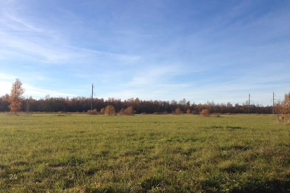 Maatulundusmaa, 174500 m² Maa  -  Jõhvi vald, Päite küla - foto 5