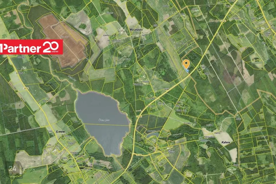 Maatulundusmaa, 4319 m² Maa - Viljandi vald, Sultsi küla - foto 5