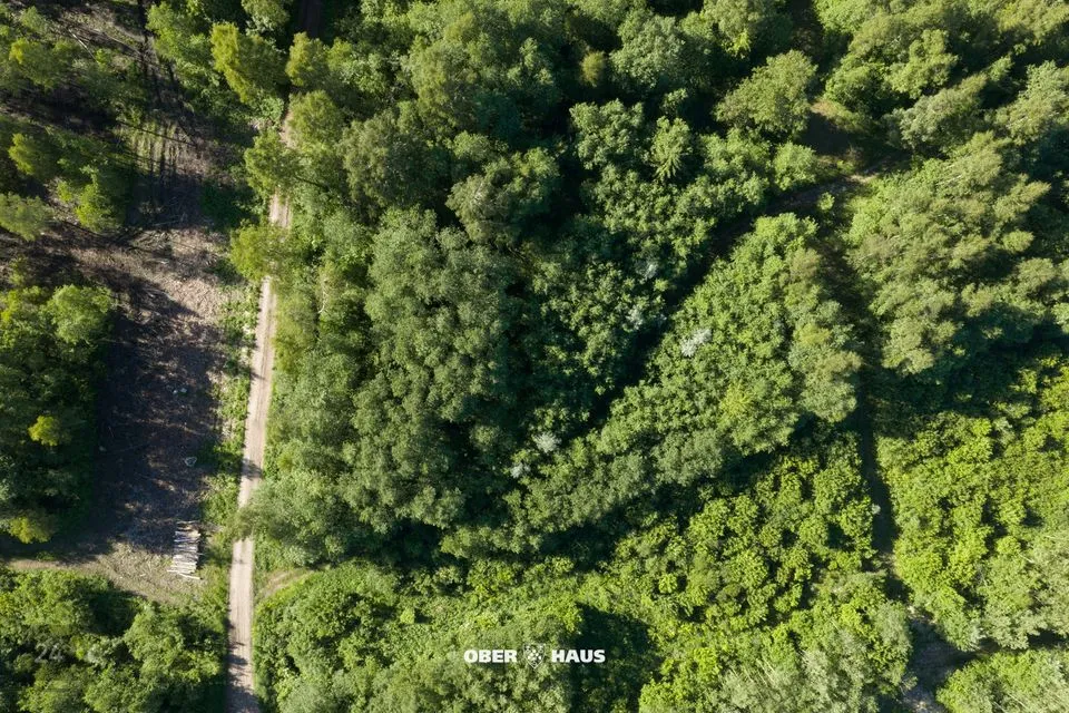 1630 m² Maa - Kiili vald, Kiili alev - foto 3