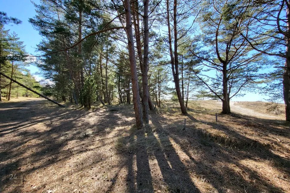Maatulundusmaa, 33534 m² Maa - Lääne-Nigula vald, Elbiku küla / Ölbäck - foto 3