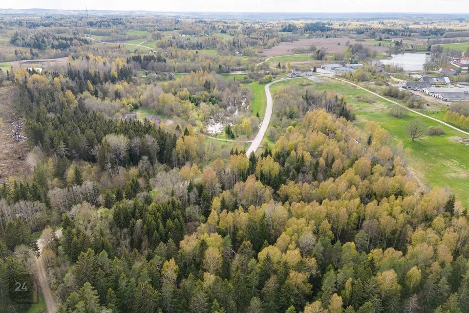 Cultivated land, 41200 m² land in Rõuge vald, Ruusmäe küla