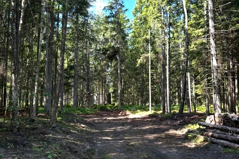 Elamumaa, 8679 m² Maa - Hiiumaa vald, Kodeste küla - foto 3